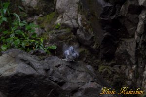 20101220214158.jpg