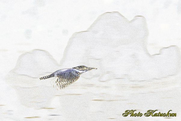 ヤマセミ　Crested Kingfisher EF540