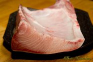 Japanese amberjack