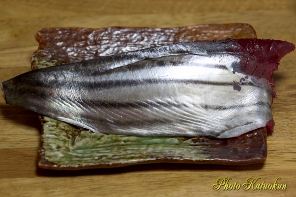 和歌山産カツオ　 Skipjack Tuna From Wakayama