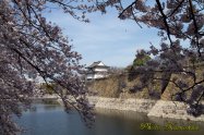 Osaka castle