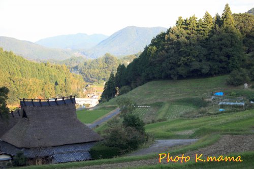 秋の棚田　TANADA　Autmun