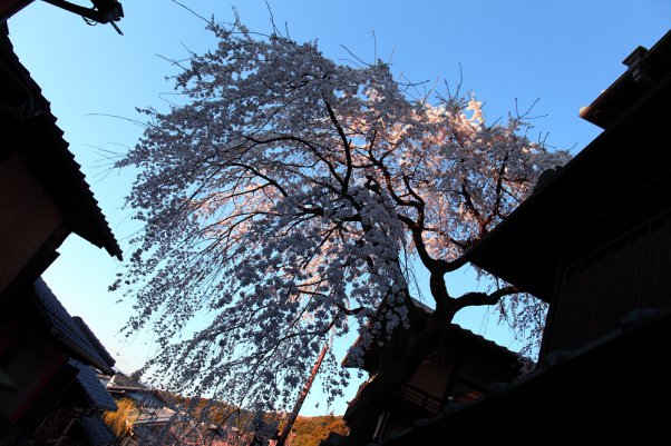 京都　清水　 "Kiyomizu" Kyoto Japan