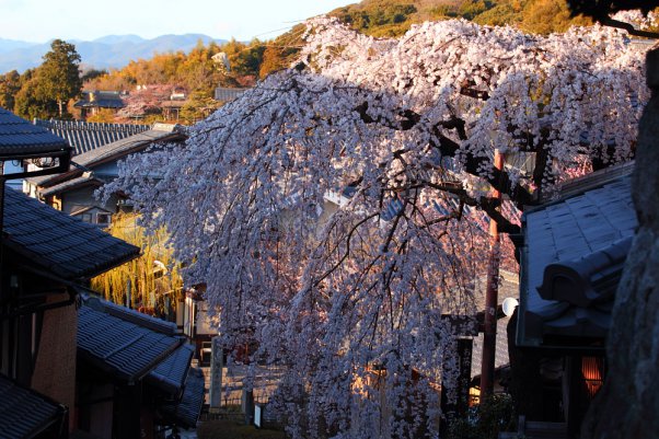 京都　清水　 "Kiyomizu" Kyoto Japan