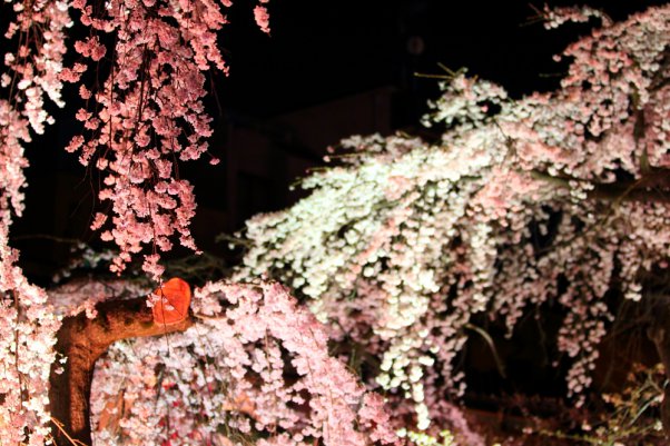 祇園 "Gion" Kyoto Japan