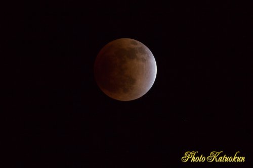 LunarEclipse (皆既月食） 10 December 2011