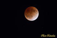 LunarEclipse (皆既月食） 10 December 2011