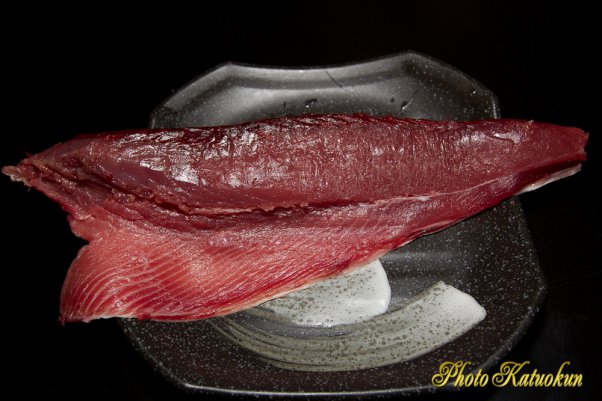 カツオ　2012/1/12　長崎産　（Skipjack Tuna）