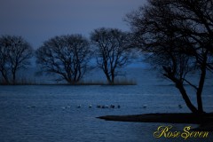 Lake Biwa　琵琶湖湖北にて