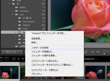  Lightroom メタデータの書き出し