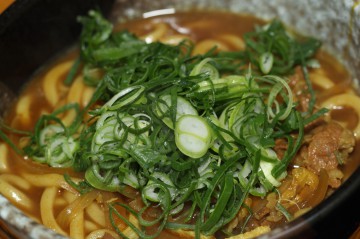 カレーうどん　Curry UDON