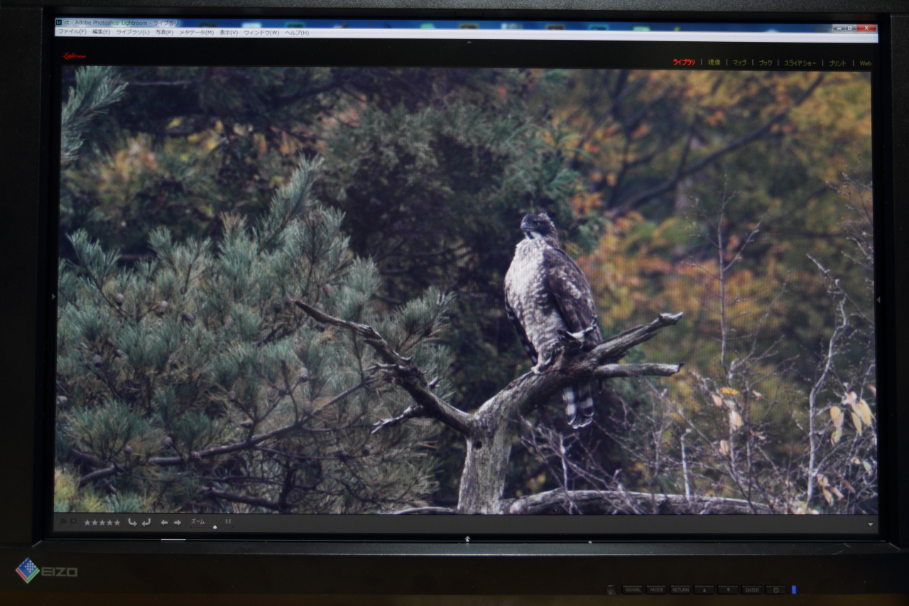 CX240-CNX 　お遊びEIZO