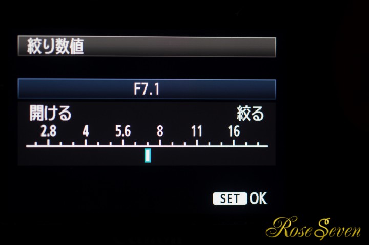 1DX　登録出来る　機能