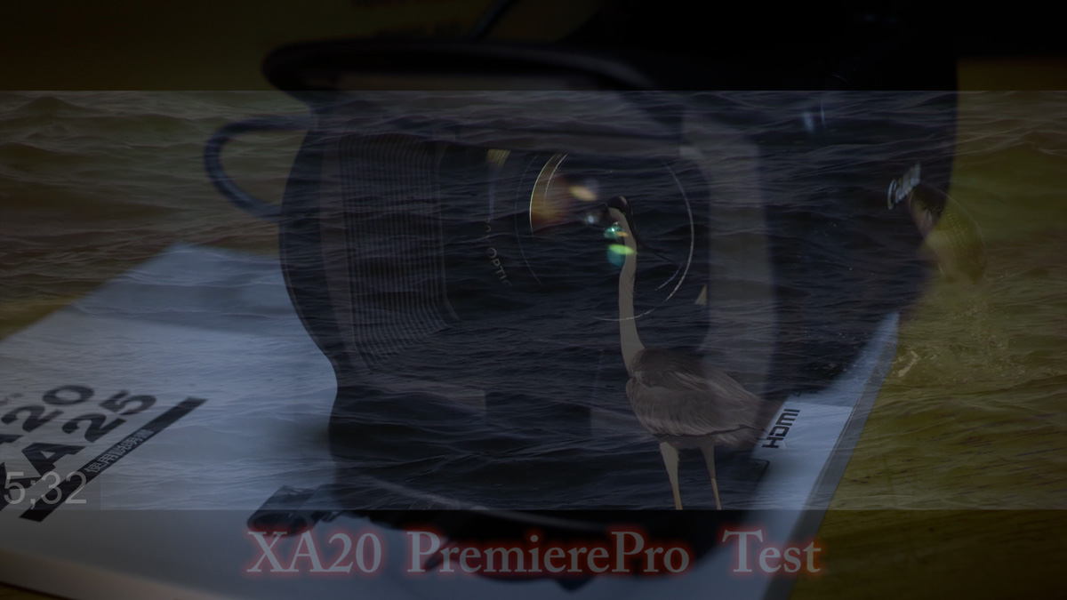 XA20 Bird SlowTest