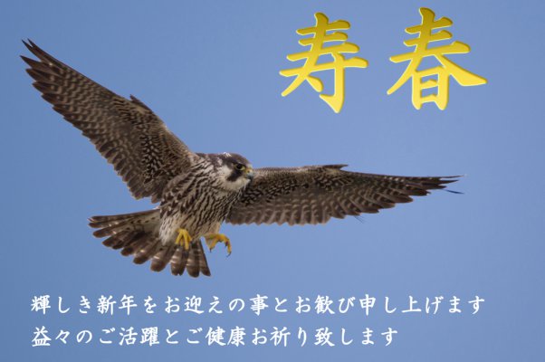 寿春