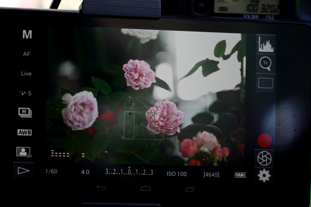 DSLR Controller Focus Peaking (Nexus7 2013)